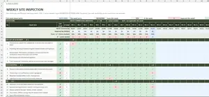 PSCS Template Excel – INSPECTIONS